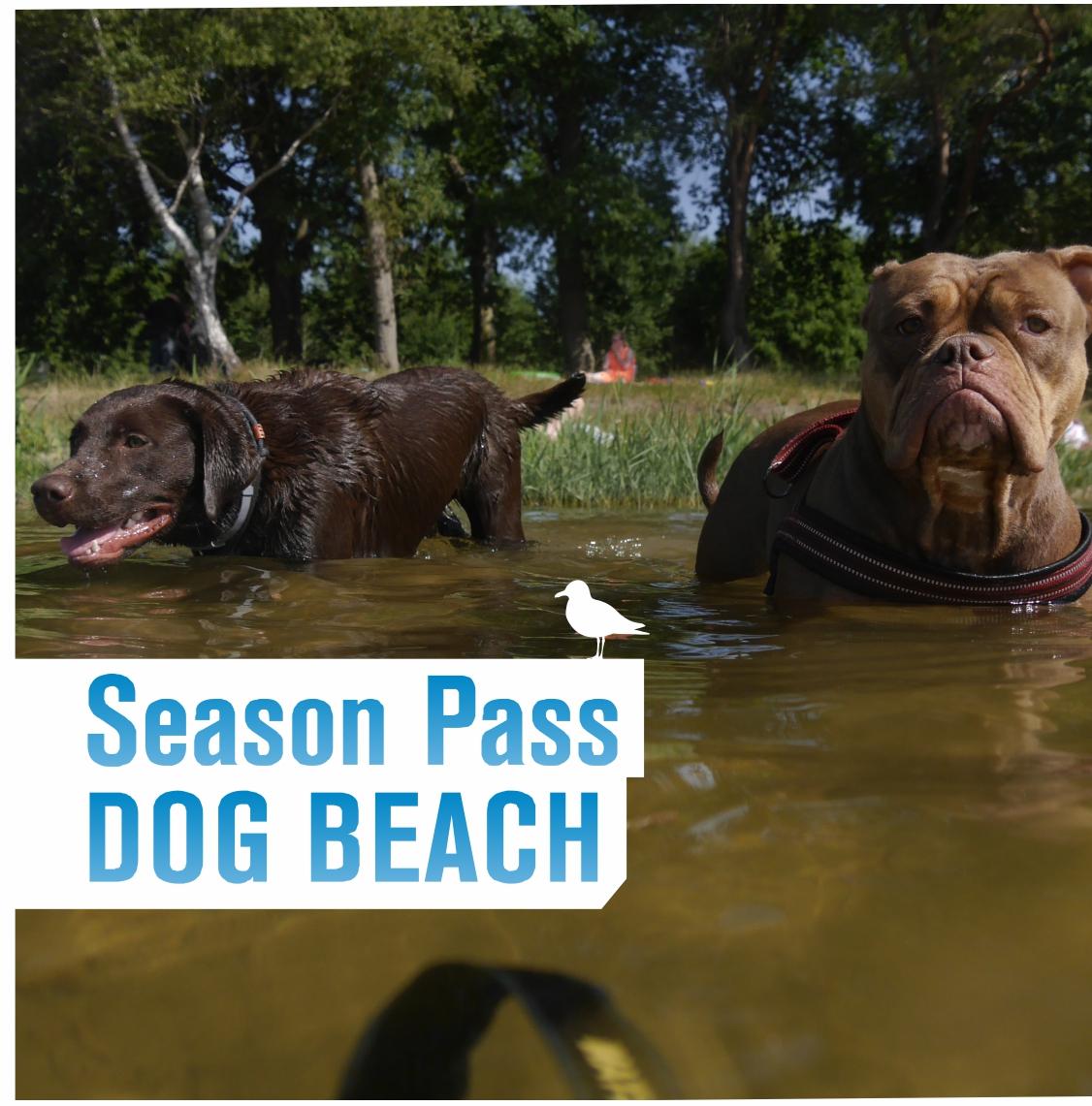 Season Pass Dog Beach